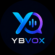 ybvox.com